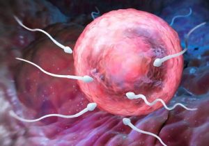 淮安三代试管包生男孩