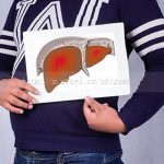 单身柬埔寨试管婴儿医院(柬埔寨试管成功率高不) 单身柬埔寨试管婴儿医院(柬埔寨试管成功率高不)