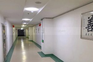 漯河三代试管助孕供卵生孩子公司大全