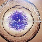 2023年在成都正规公立医院做三代试管包生男孩价格