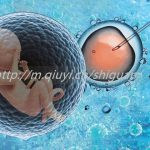 贵港做试管婴儿成功率高吗_贵港三代试管有几种