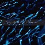 山西晋城能做试管婴儿吗-晋中三代试管亲身经历