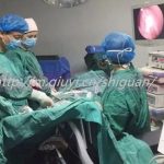 为生儿子可以通过三代试管婴儿借精生孩子吗