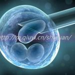 南通三代试管借卵生子结构名单一览 南通三代试管借卵生子结构名单一览