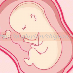大同三代试管供卵生孩子医院排名前十有哪些