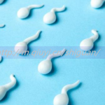 同性情侣可以通过三代试管助孕借精生孩子吗