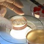 周口三代试管助孕借卵生子公司有哪些名单 周口三代试管助孕借卵生子公司有哪些名单