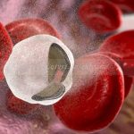 深圳私立试管机构供卵试管费用大概需要多少 深圳私立试管机构供卵试管费用大概需要多少