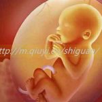 乌鲁木齐三代试管婴儿借卵生子医院有哪些