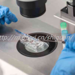 2023年想要通过三代试管捐卵怀个属于自己的宝宝