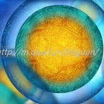 HIV患者可以通过三代试管助孕怀混血宝宝吗