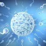 重庆妇幼保健院做三代试管的费用是多少