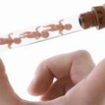 江苏省高龄失独家庭可以试管助孕吗 江苏省高龄失独家庭可以试管助孕吗