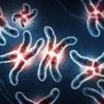 南宁41岁三代试管成功率-正规试管供卵机构 南宁41岁三代试管成功率-正规试管供卵机构