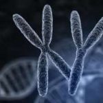 成都供卵试管费用明细一览表