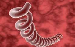 柬埔寨三代试管：柬埔寨四代试管技术