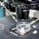 基础卵泡少还能不能自然怀孕 amh0.31还能不能自然怀孕