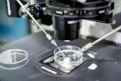 基础卵泡少还能不能自然怀孕 amh0.31还能不能自然怀孕