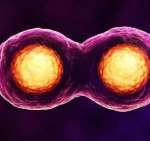 2023年长沙哪里可以做第三代试管婴儿？