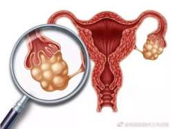 芜湖三代试管胚胎筛查哪些？三代试管免费筛查囊胚