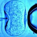 【最好最快】合肥高龄绝经供卵试管婴儿