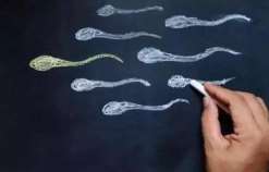 在武汉协和做三代试管[湖北试管婴儿]