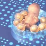 三代试管选性别的费用是多少