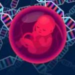 武汉同济医院可以做供卵三代试管婴儿吗