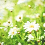 武汉三代试管供卵机构,分享自己怀孕的好消息,科学公园 武汉三代试管供卵机构,分享自己怀孕的好消息,科学公园