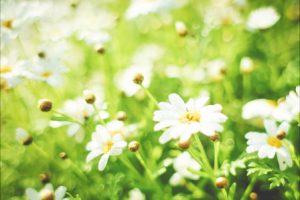 武汉三代试管供卵机构,分享自己怀孕的好消息,科学公园