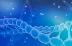 南通第三代试管婴儿包性别吗？