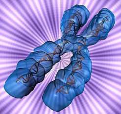 濮阳三代试管双胞胎女孩