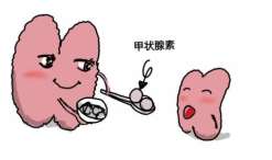 绥化单周期三代试管要花多少钱？