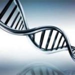 三代试管移植后第七天褐色血？