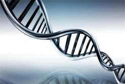 三代试管移植后第七天褐色血？