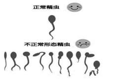 海口卵泡非常少做第三代(海口试管婴儿的费用)