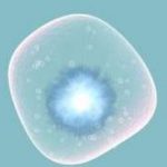 天津市第五中心医院可以做三代试管婴儿吗