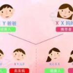 三代试管包生男孩价格正规医院排名? 三代试管包生男孩价格正规医院排名?