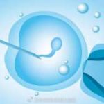 第三代试管生男孩价格大概是多少？