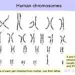 拉萨三代试管婴儿医院哪家好？拉萨三代试管婴儿医院哪家好些？