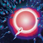 昆明三代试管选择性别会出错吗? 昆明三代试管选择性别会出错吗?