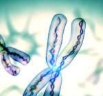 海口第三代试管婴儿可以做龙凤胎吗-私立试管医院