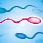 武汉三代试管包生男孩是真的吗[湖北试管婴儿]