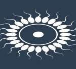 三代试管婴儿的步骤有哪些