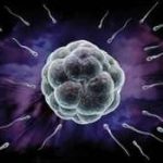 厦门第三代试管婴儿可以包成功吗,人工助孕可以选性别吗