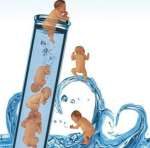 第三代试管做男孩价格是多少? 第三代试管做男孩价格是多少?