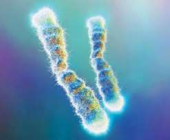 郑州三代试管婴儿最好的医院排名