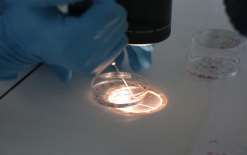 扬州市妇幼保健院能做三代试管婴儿吗？