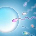 湖南三代试管婴儿：株洲三代试管生男孩成功率