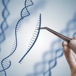 上海三代试管助孕网 上海三代试管助孕网